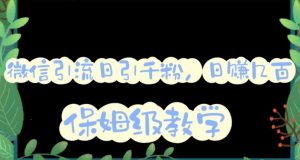 微信互推圈半自动引流方案，矩阵操作日引千人思路【详细视频教程】-比钱轻创