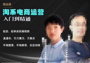 2023手淘搜索实操课+体系化课程，​起店起单品实操视频课程-比钱轻创