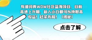 有道词典WOW社区蓝海项目，目前高速上升期，新人小白都可以换取高收益！赶紧布局！【揭秘】-比钱轻创