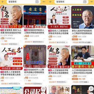 拆解小红书宝宝起名虚拟副业项目，一条龙实操玩法分享给你（教程+软件）-比钱轻创