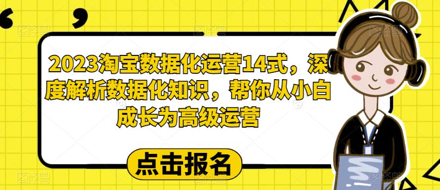 2023淘宝数据化运营14式,深度解析数据化知识,帮你从小白成长为高级运营-比钱轻创