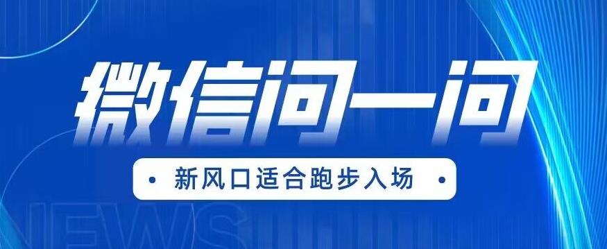 全网首发微信问一问新风口变现项目（价值1999元）【揭秘】-比钱轻创