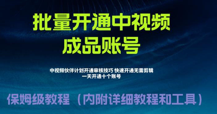外面收费1980的暴力开通中视频计划教程,内附详细的快速通过中视频伙伴计划的办法-比钱轻创