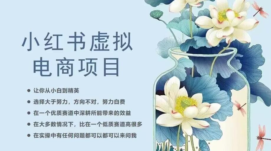 小红书虚拟电商从0到1，让你从小白到精英（20节实操课程）-比钱轻创