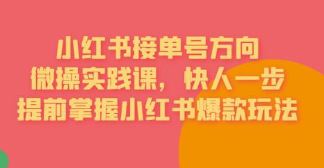 接单号方向·小红书微操实践课，快人一步，提前掌握小红书爆款玩法-比钱轻创