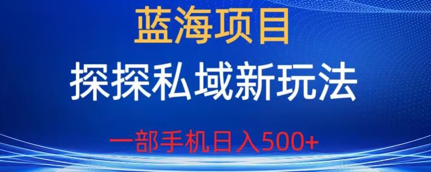 蓝海项目，探探私域新玩法，一部手机日入500+很轻松【揭秘】-比钱轻创