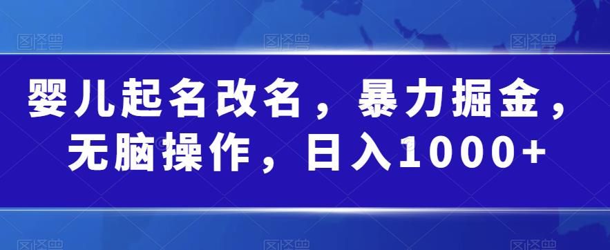 婴儿起名改名，暴力掘金，无脑操作，日入1000+【揭秘】-比钱轻创