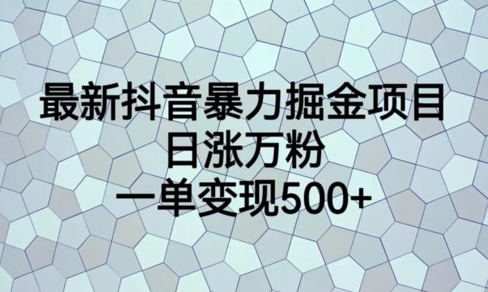 最新抖音暴力掘金项目，日涨万粉，一单变现500+【揭秘】-比钱轻创