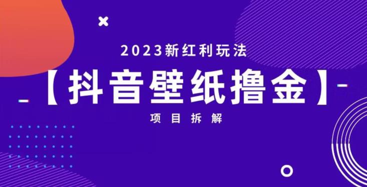 抖音壁纸小程序创作者撸金项目，2023新红利玩法【项目拆解】-比钱轻创