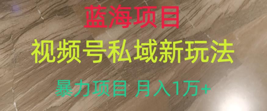蓝海项目，视频号私域新玩法，暴力项目月入1万+【揭秘】-比钱轻创