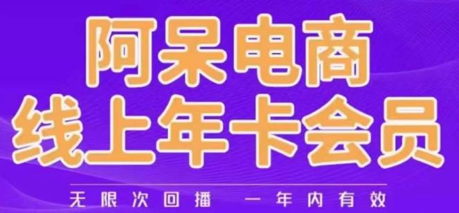 阿呆电商线上年会员,阿呆电商干货分享(更新中)-比钱轻创