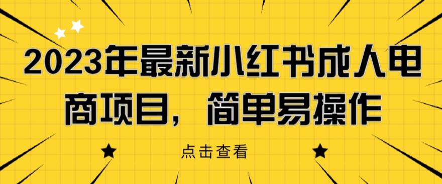 2023年最新小红书成人电商项目，简单易操作【详细教程】【揭秘】-比钱轻创