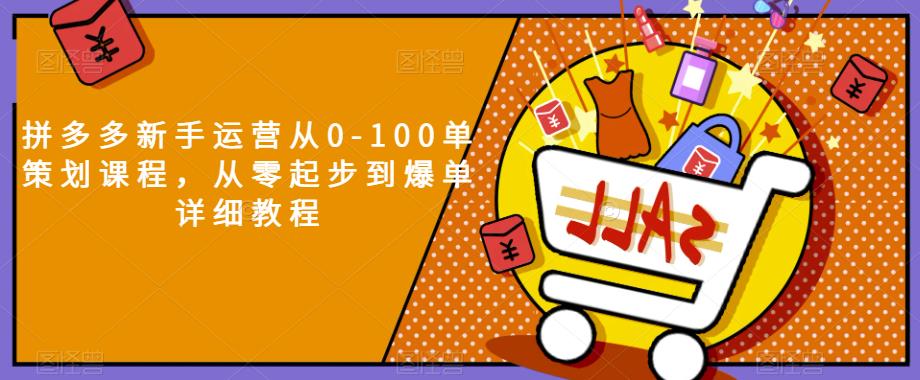 拼多多新手运营从0-100单策划课程，从零起步到爆单详细教程-比钱轻创