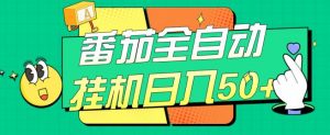 番茄全自动挂机日入50+，软件全自动，多号破百【揭秘】-比钱轻创