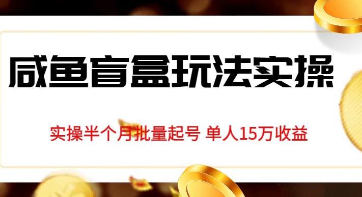独家首发咸鱼盲盒玩法实操，半个月批量起号单人15万收益【揭秘】-比钱轻创