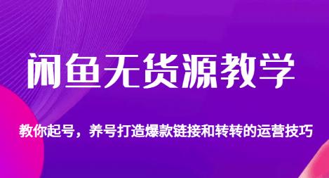 闲鱼无货源教学，教你起号，养号打造爆款链接以及转转的运营技巧-比钱轻创