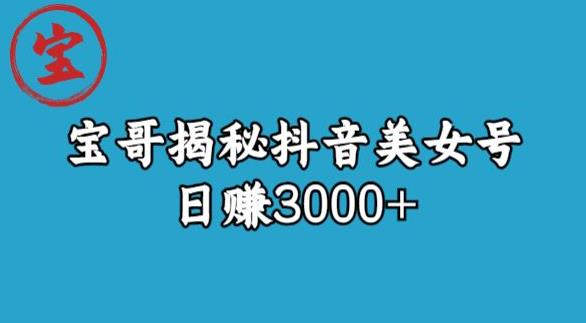 宝哥揭秘抖音美女号玩法，日赚3000+【揭秘】-比钱轻创