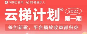 2023年8月份网易云最新独家挂机技术，真正实现挂机月入5000【揭秘】-比钱轻创