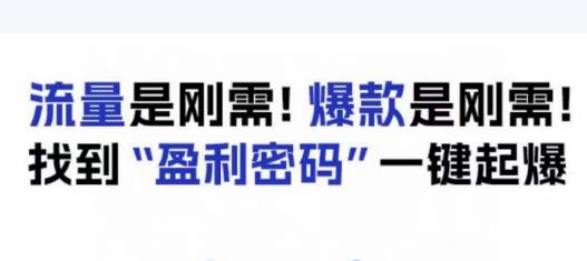 电商盈利精品课：6大盈利密码让产品更好卖，流量是刚需！爆款是刚需！找到”盈利密码”一键起爆-比钱轻创