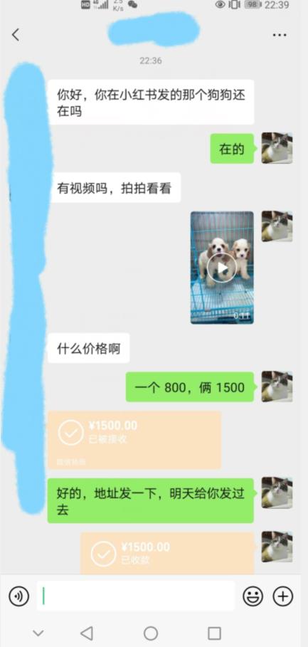 外边收费3980的同城萌宠项目，用最冷门的玩法冲击最热门的市场【揭秘】-比钱轻创