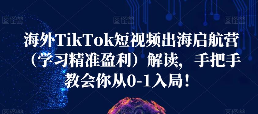 海外TikTok短视频出海启航营（学习精准盈利）解读，手把手教会你从0-1入局！-比钱轻创
