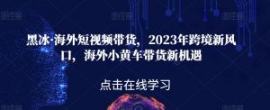 黑冰·海外短视频带货，2023年跨境新风口，海外小黄车带货新机遇-比钱轻创