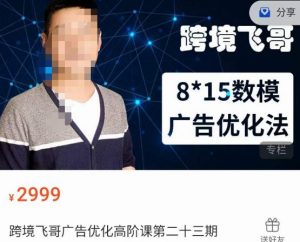 跨境飞哥·广告优化高阶课第二十三期，​8*15数模广告优化法，用数据驱动决策-比钱轻创