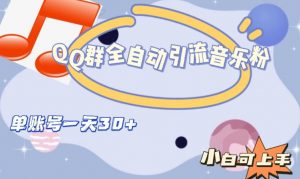 QQ群全自动引流音乐粉，单账号一天轻松引流30+-比钱轻创