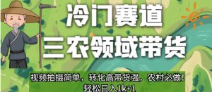 冷门赛道三农领域带货，视频拍摄简单，转化高带货强，农村必做！【揭秘】-比钱轻创