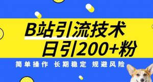B站引流技术：每天引流200精准粉，简单操作，长期稳定，规避风险-比钱轻创