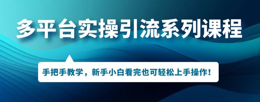 多平台引流实操系列课程，新手小白看完也可轻松上手进行引流操作-比钱轻创