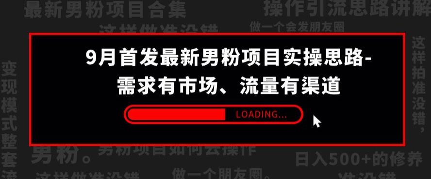 9月首发最新男粉项目实操思路-需求有市场，流量有渠道【揭秘】-比钱轻创