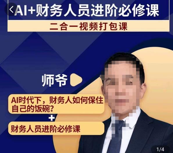 AI+财务人员进阶必修课二合一视频打包课，财务人员进阶必修课-比钱轻创