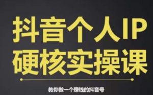 个人IP创富系统实战课,商业定位,流量打造,短视频变现,教你做个赚钱的抖音号-比钱轻创