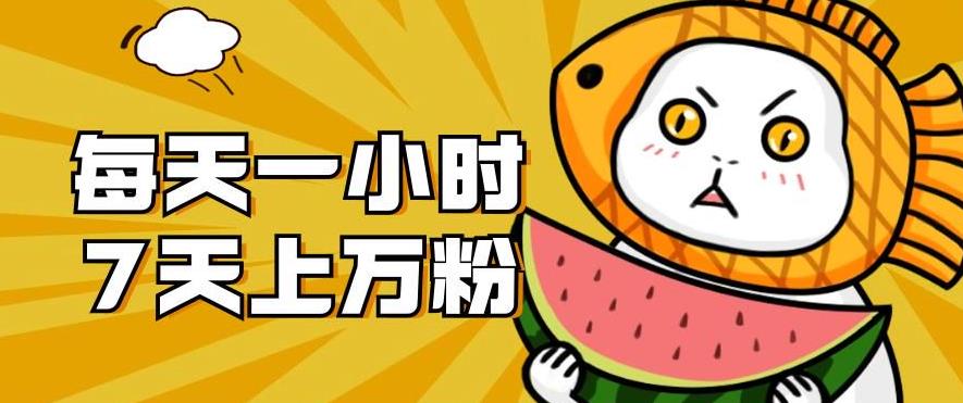 暴力涨粉项目：每天一小时，七天上万粉【揭秘】-比钱轻创