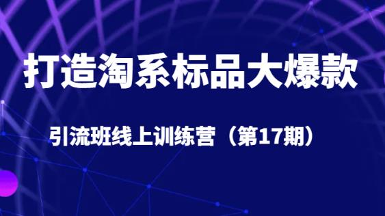打造淘系标品大爆款引流班线上训练营（第17期）5天直播授课-比钱轻创