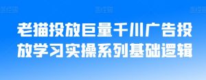 老猫投放巨量千川广告投放学习实操系列基础逻辑-比钱轻创