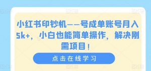 小红书印钞机——号成单账号月入5k+，小白也能简单操作，解决刚需项目【揭秘】-比钱轻创