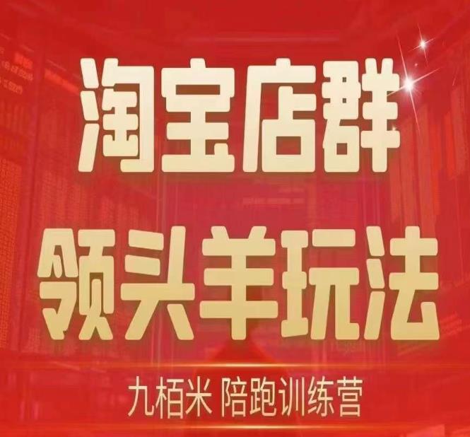 九栢米-淘宝店群领头羊玩法，教你整个淘宝店群领头羊玩法以及精细化/终极蓝海/尾销等内容-比钱轻创