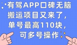 有驾APP口碑无脑搬运项目又来了，单号最高110块，可多号操作-比钱轻创