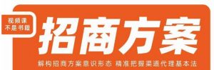 王昕招商方案,解构招商方案意识形态,精准把握渠道代理基本法-比钱轻创