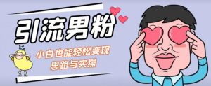 引流男粉+小白也能暴力变现的思路与实操【揭秘】-比钱轻创