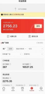 拼多多无人直播不封号玩法，0投入，3天必起，日入1000+-比钱轻创