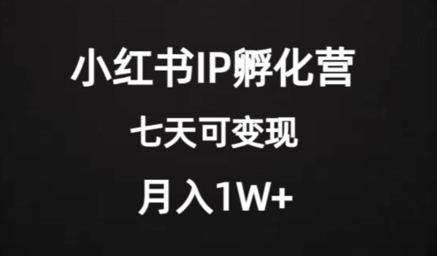 价值2000+的小红书IP孵化营项目，超级大蓝海，七天即可开始变现，稳定月入1W+-比钱轻创