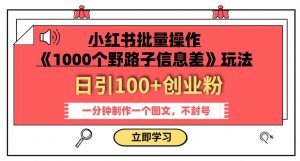 小红书批量操作《1000个野路子信息差》玩法，一分钟制作一个图文，不封号，日引100+创业粉-比钱轻创