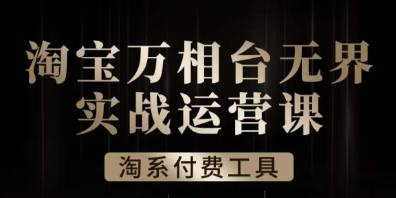 沧海·淘系万相台无界实战运营课，万相台无界实操全案例解析-比钱轻创