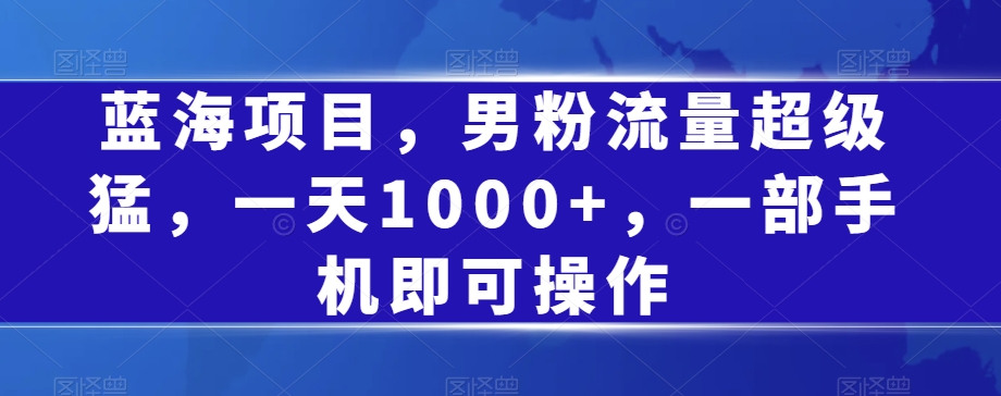 蓝海项目，男粉流量超级猛，一天1000+，一部手机即可操作【揭秘】-比钱轻创