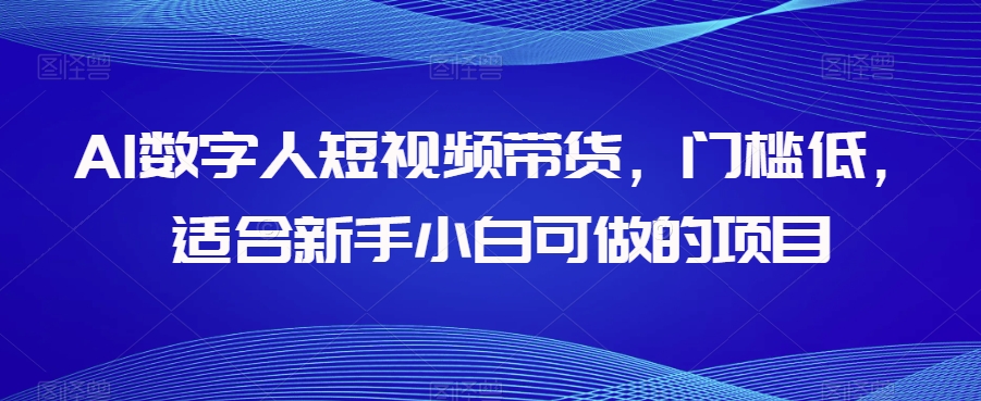 AI数字人短视频带货，门槛低，适合新手小白可做的项目-比钱轻创