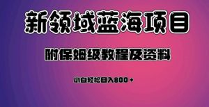 虚拟资源蓝海领域新项目，轻松日入800＋，附保姆级教程及资料-比钱轻创