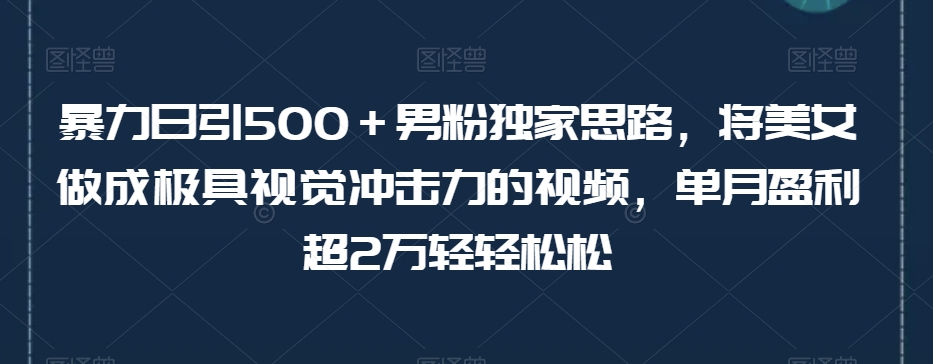 暴力日引500＋男粉独家思路，将美女做成极具视觉冲击力的视频，单月盈利超2万轻轻松松-比钱轻创